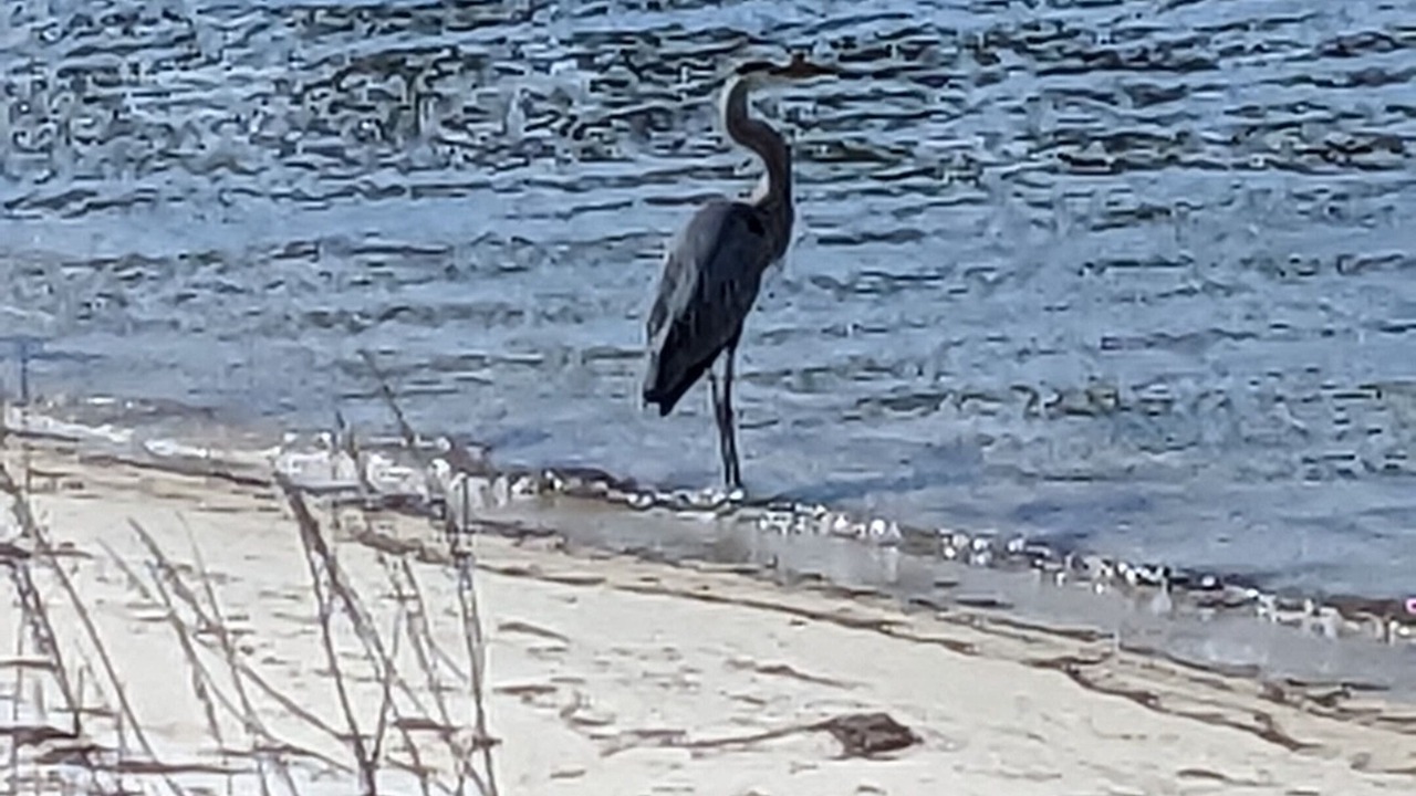 Photo of Others in Navarre