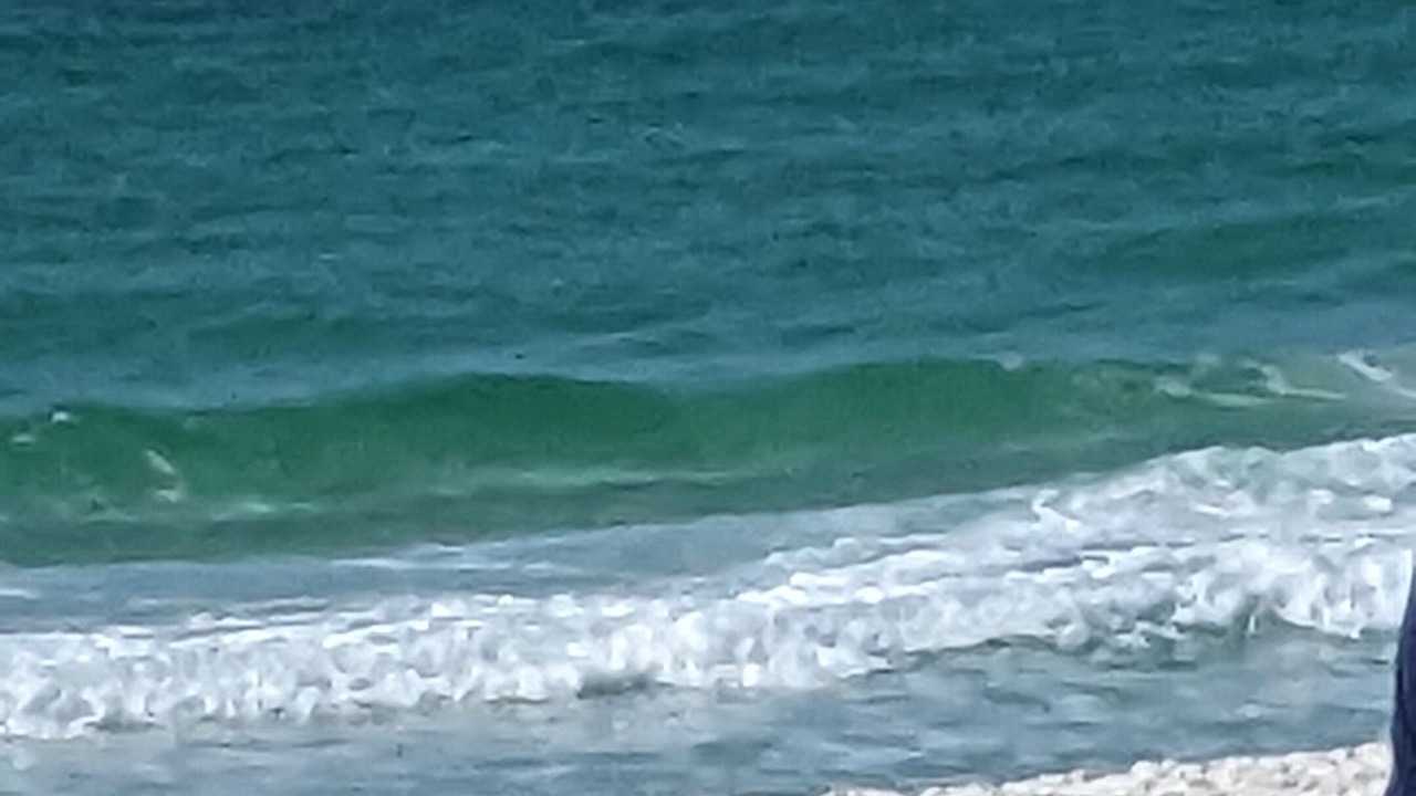 Photo of Others in Navarre