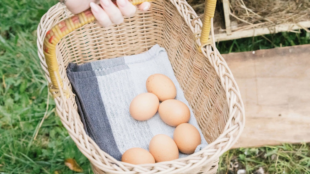 Photo of Others in Whakamarama