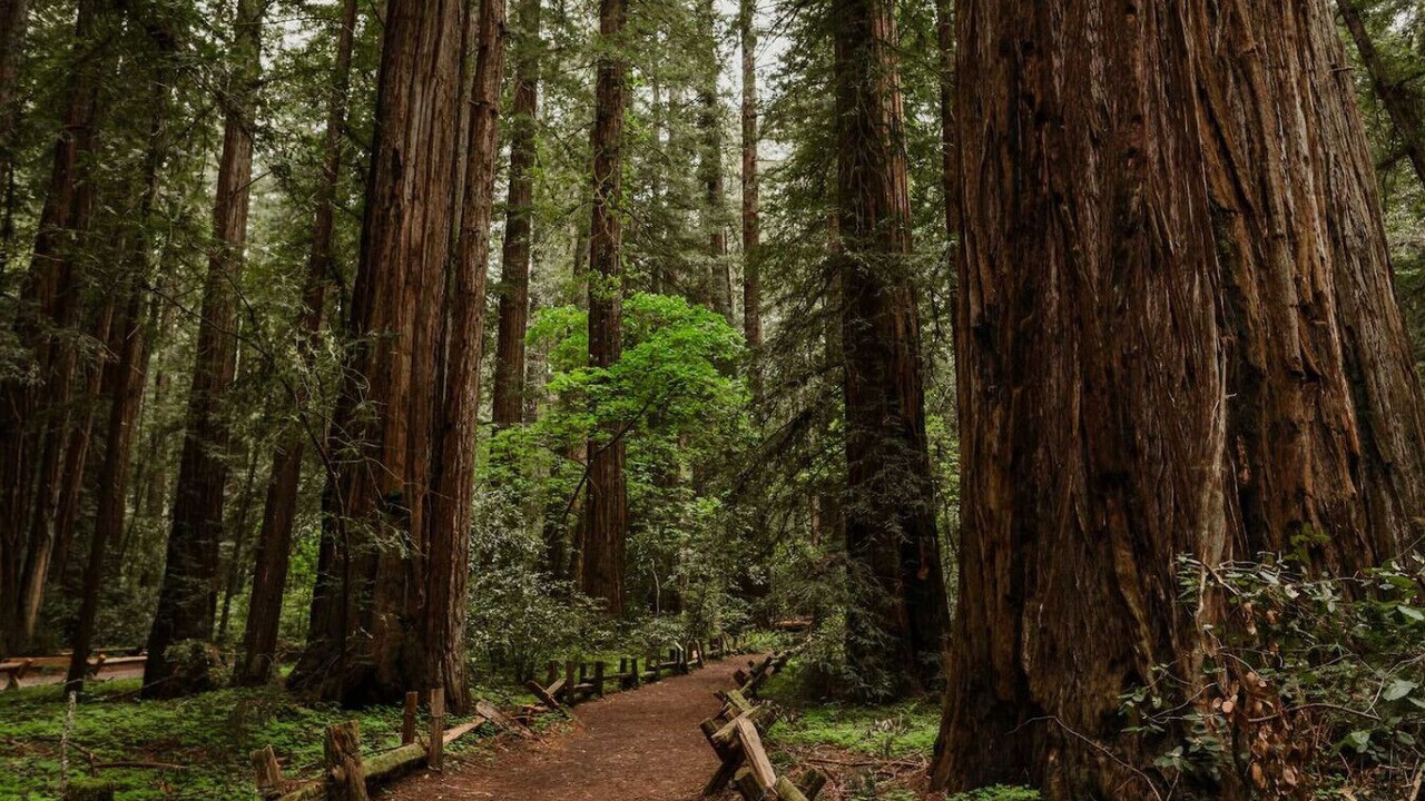 Photo of Others in Santa Rosa