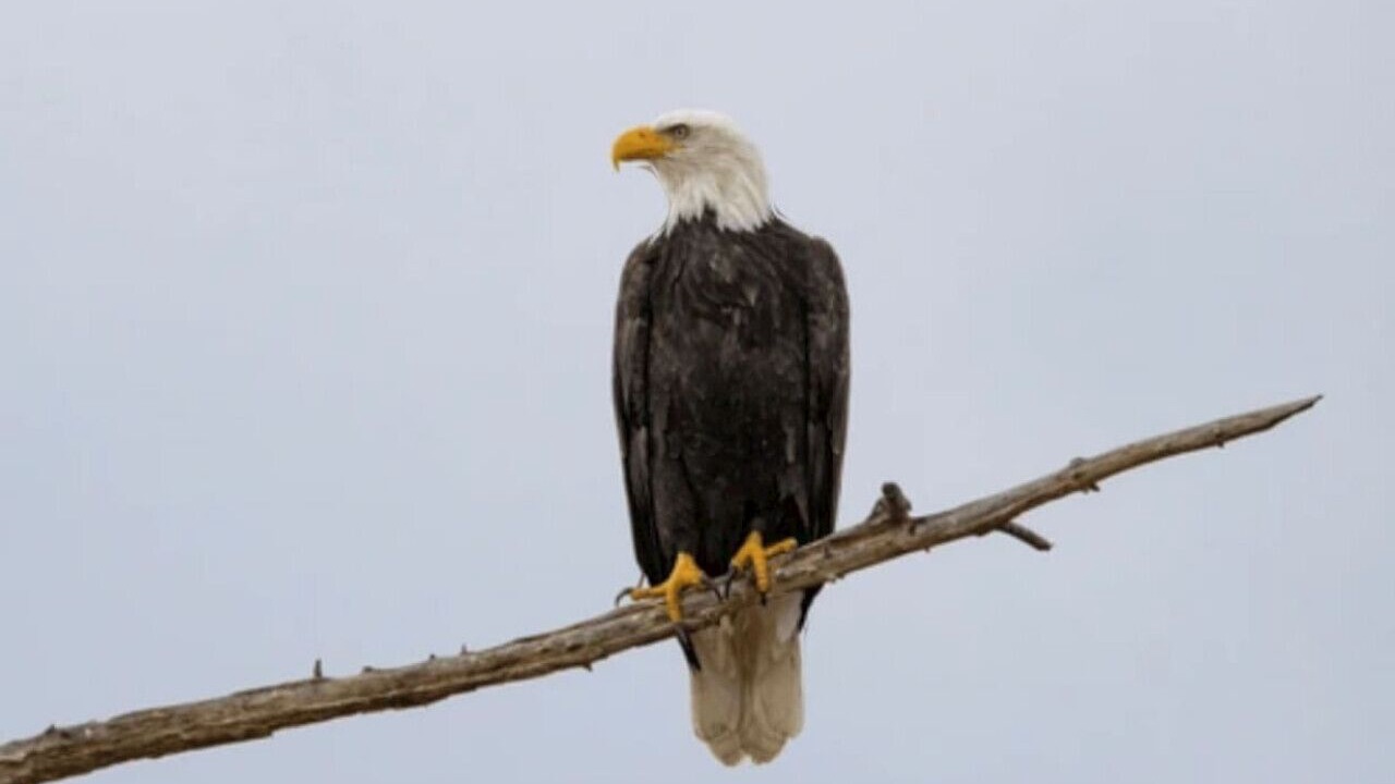 Photo of Others in St. Joseph