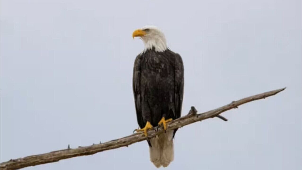 Photo of Others in St. Joseph