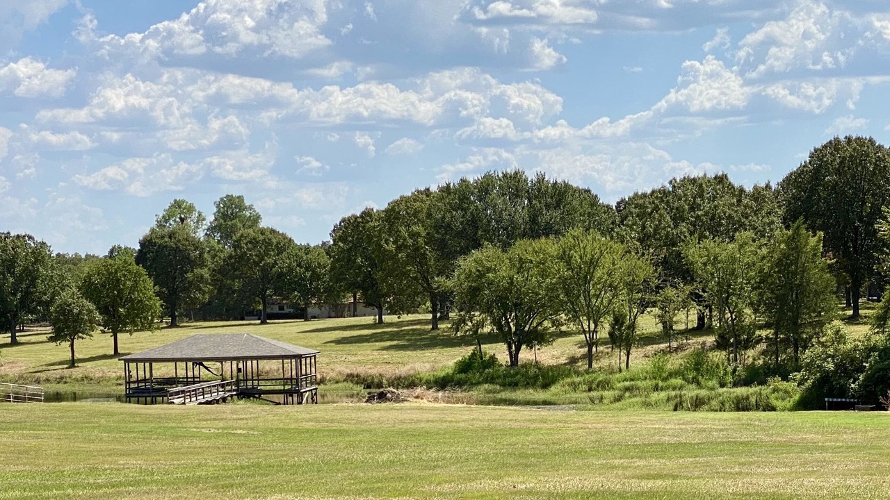 Photo of Outdoor in Yantis