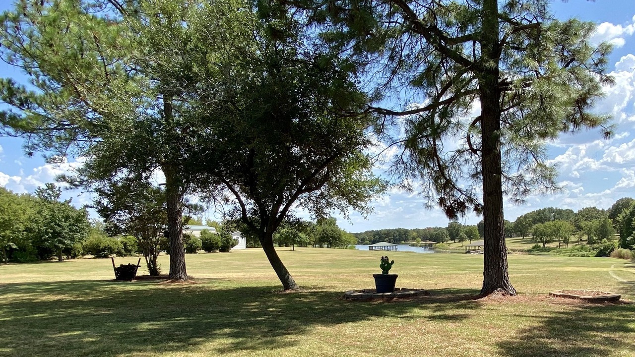 Photo of Outdoor in Yantis