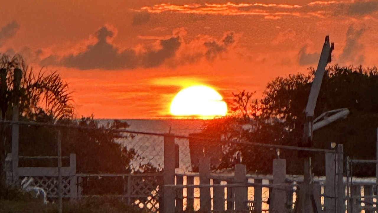 Photo of Outdoor in Port Richey
