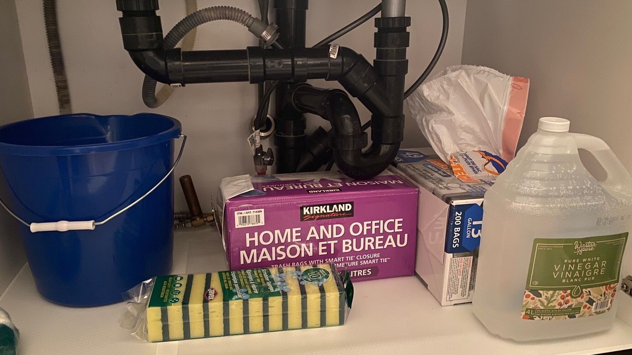 Photo of Others in Auburn Bay