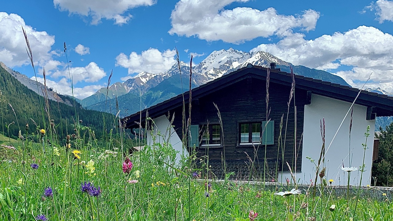 Photo of Outdoor in Lenz
