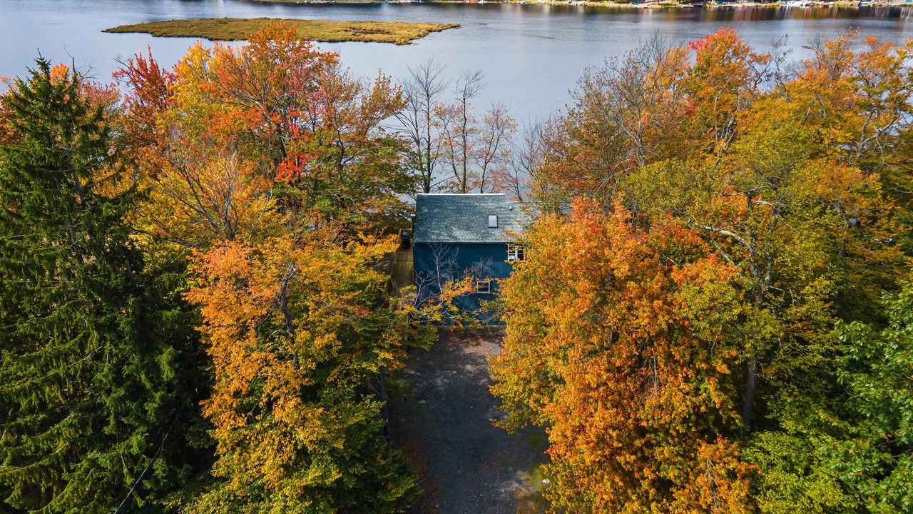 Photo of Outdoor in Tobyhanna