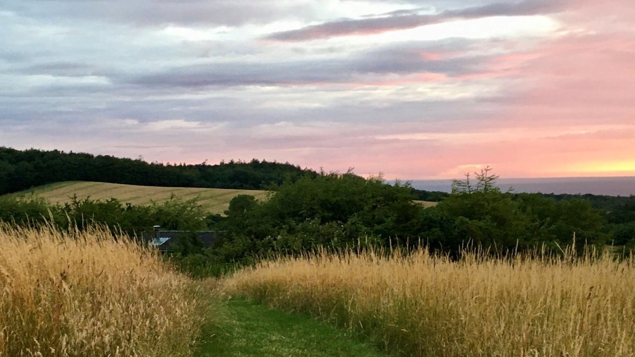 Photo of Outdoor in Ordrup