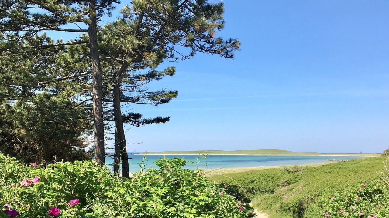 Photo of Outdoor in Ordrup