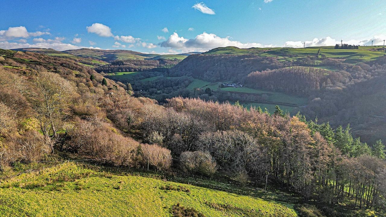 Photo of Others in Glandyfi