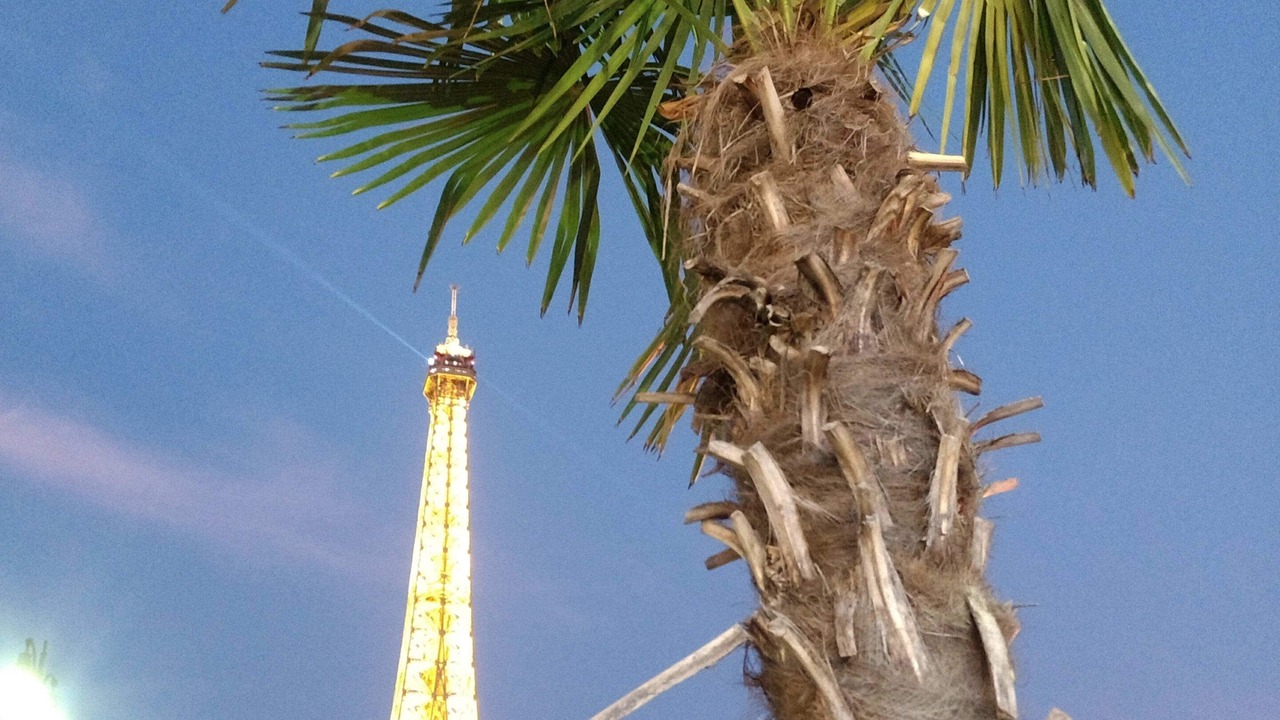 Photo of Others in Porte-Dauphine
