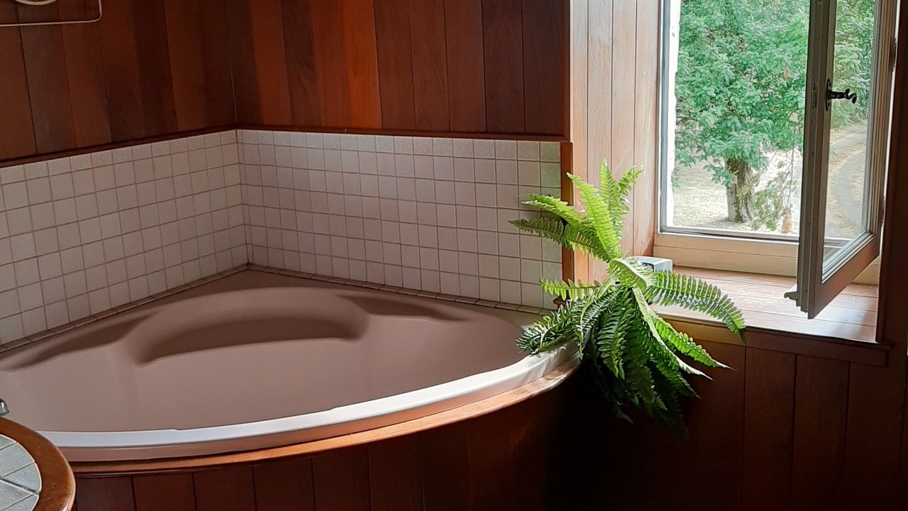 Photo of Bathroom in Monflanquin