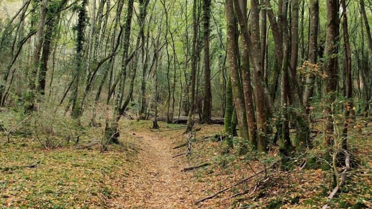 Photo of Outdoor in Cortevaix