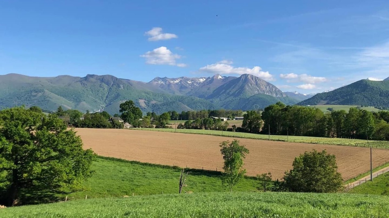 Photo of Others in Asson