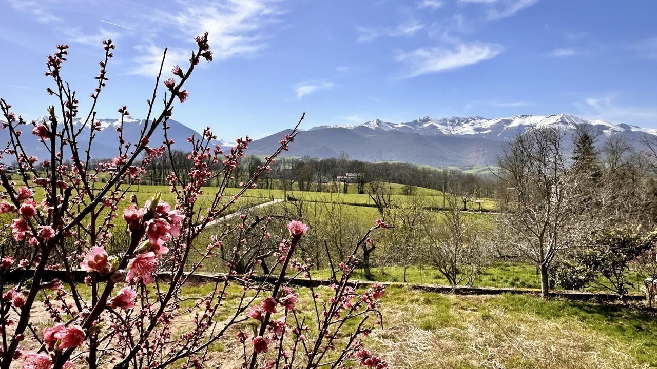 Photo of Others in Asson