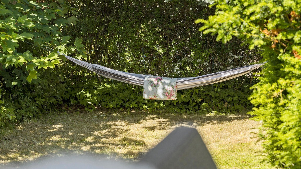 Photo of Others in Saksild Strand