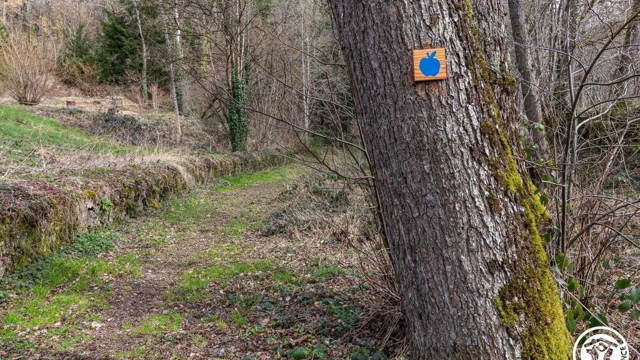 Photo of Outdoor in Beurieres