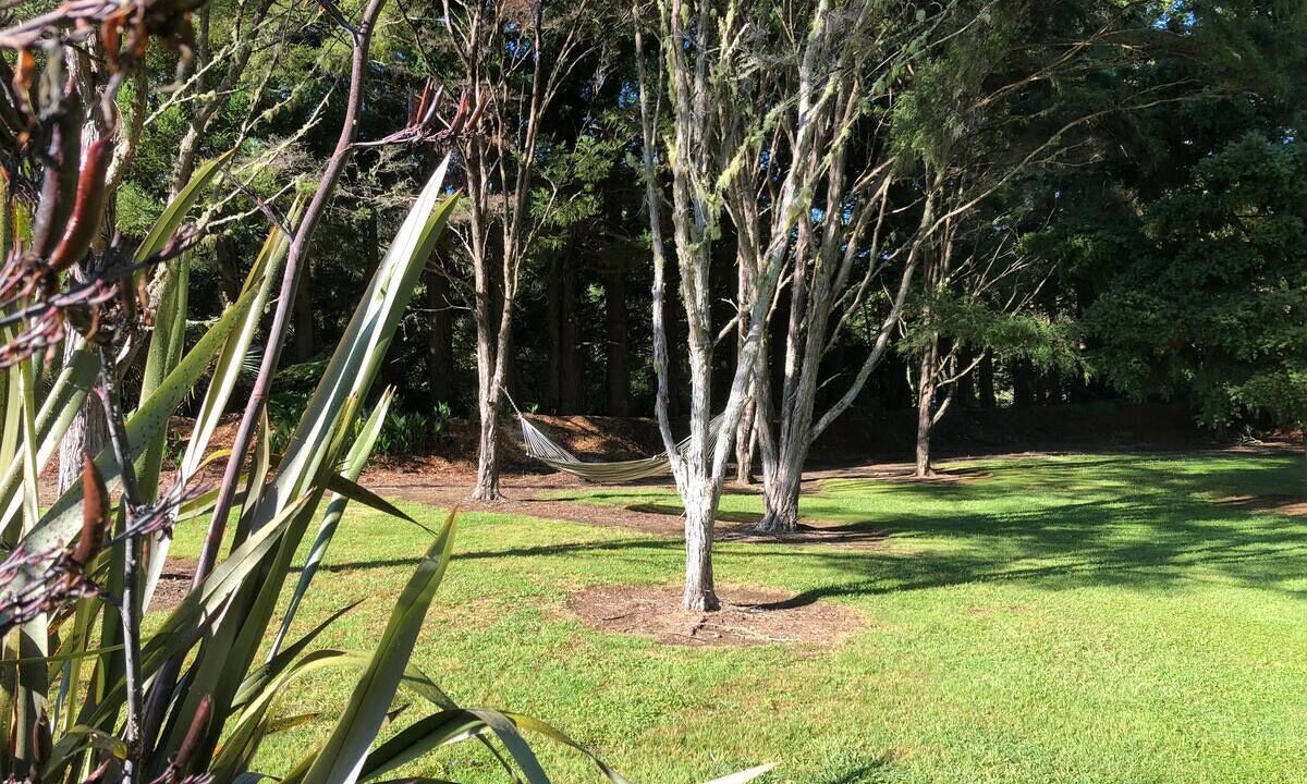 Photo of Others in Whangamata