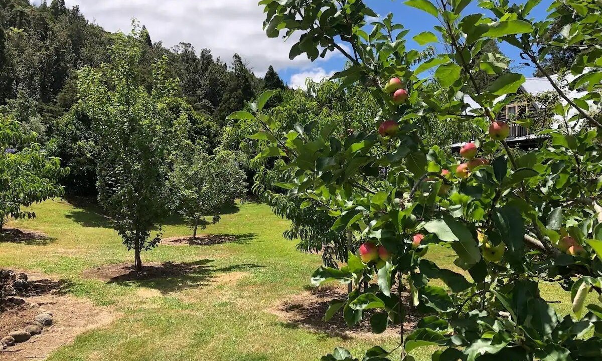 Photo of Others in Whangamata