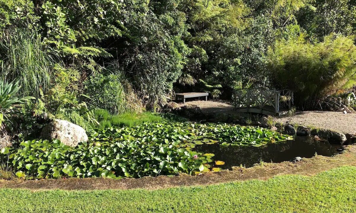 Photo of Others in Whangamata