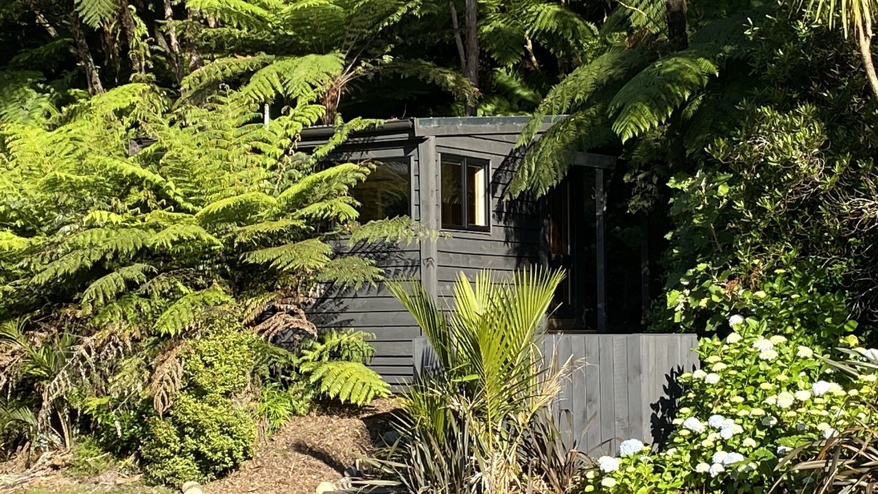 Photo of Outdoor in Whangamata