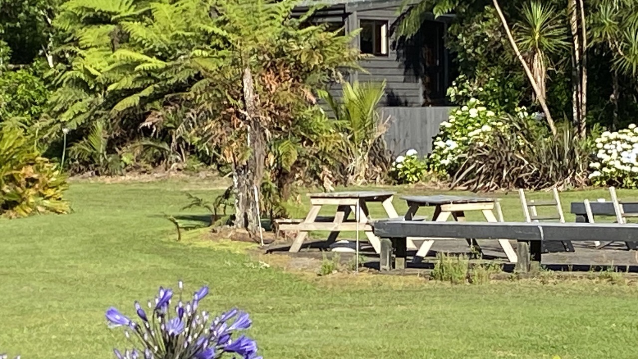 Photo of Others in Whangamata