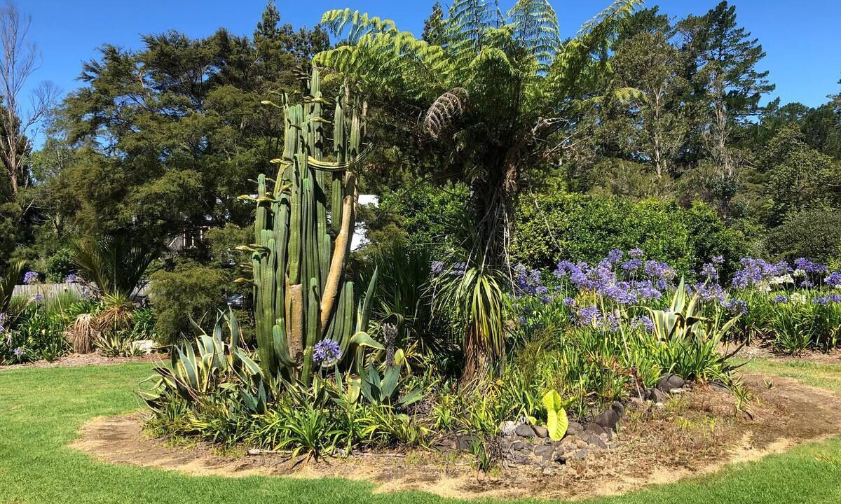 Photo of Others in Whangamata