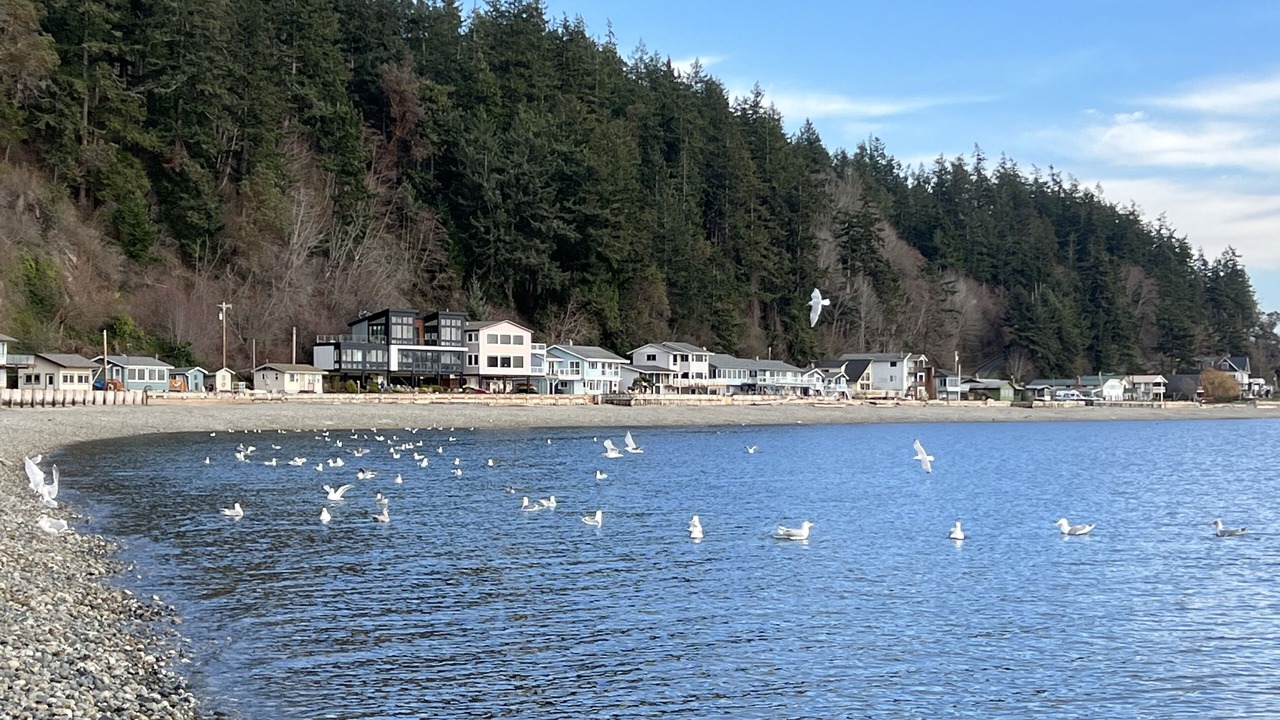 Photo of Others in Camano Island