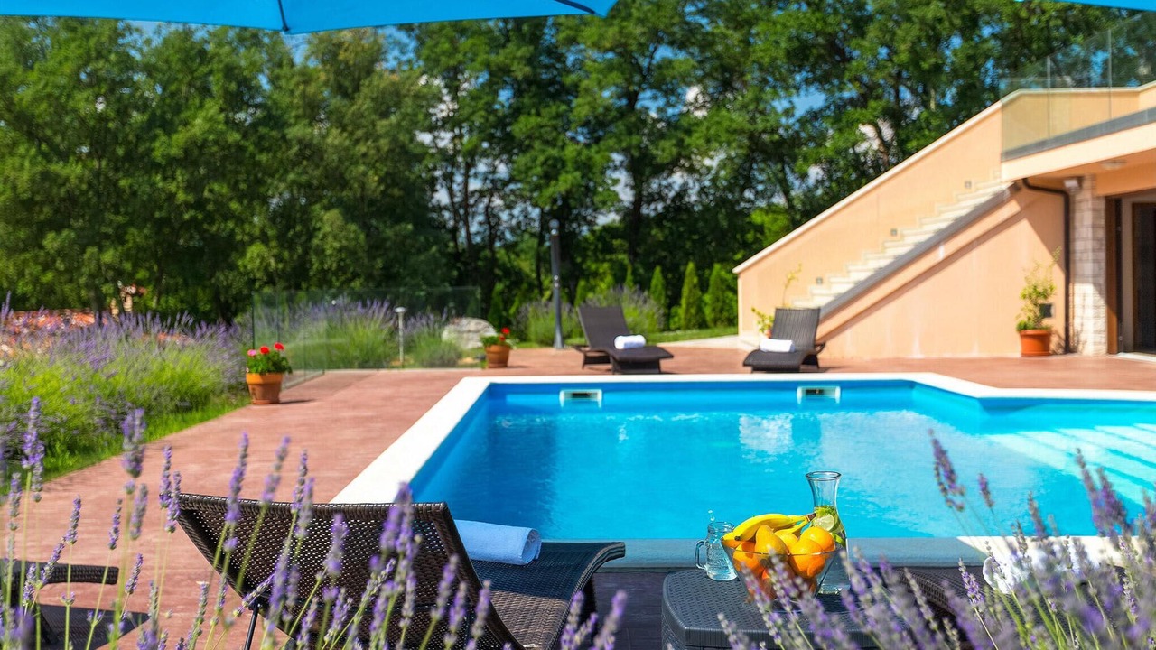 Photo of Outdoor in Buzet