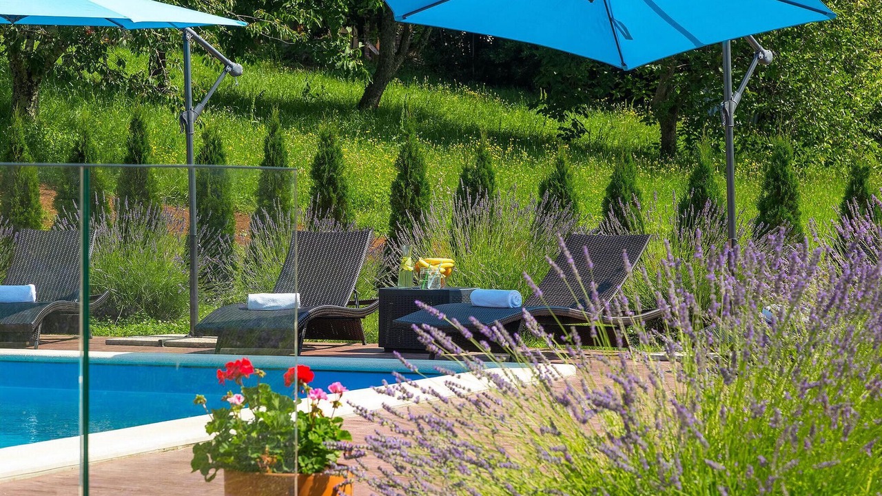 Photo of Outdoor in Buzet