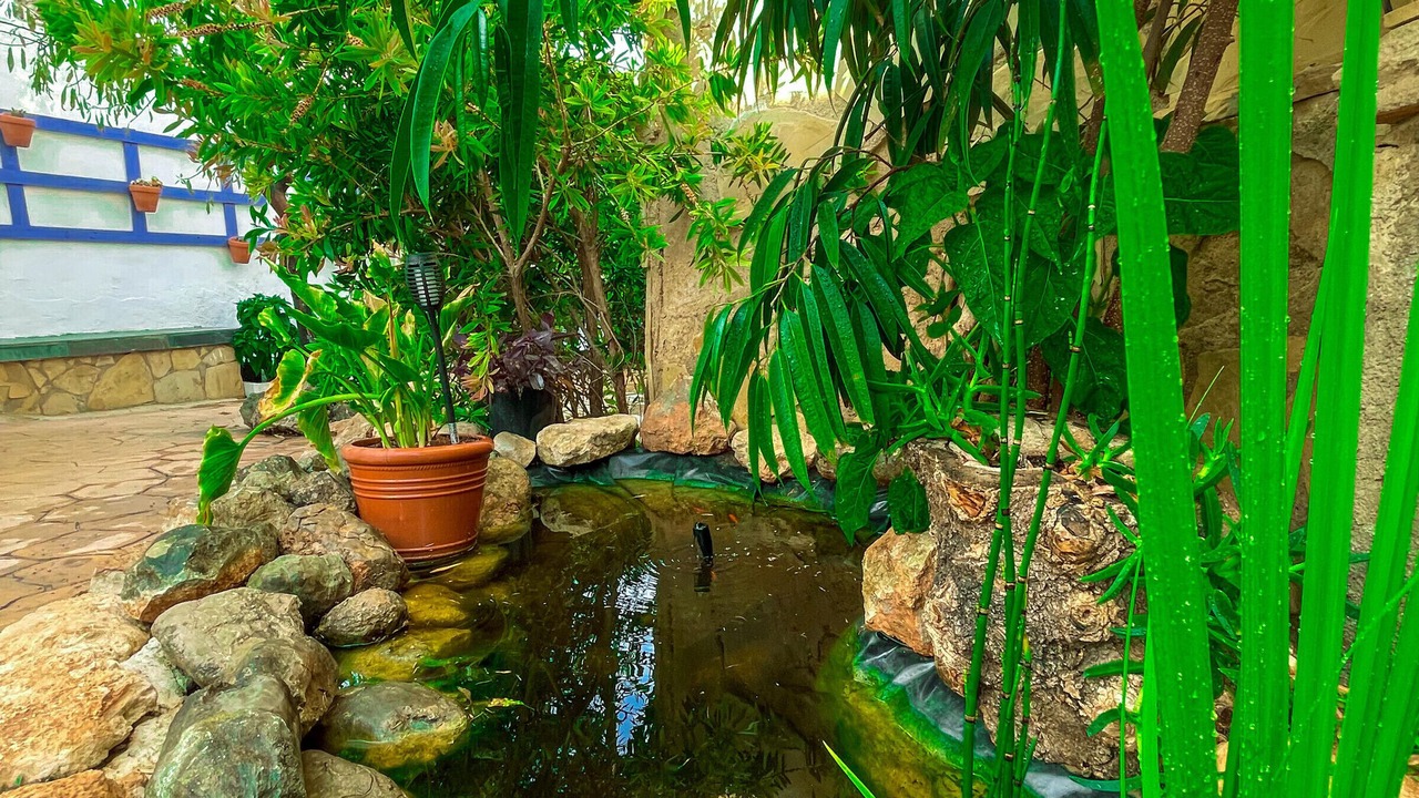 Photo of Outdoor in El Casalot
