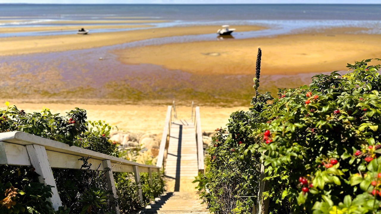 Photo of Others in Campground Landing