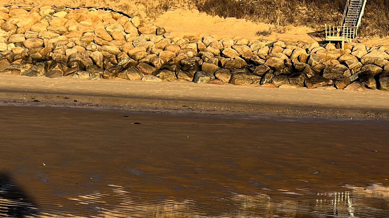 Photo of Others in Campground Landing