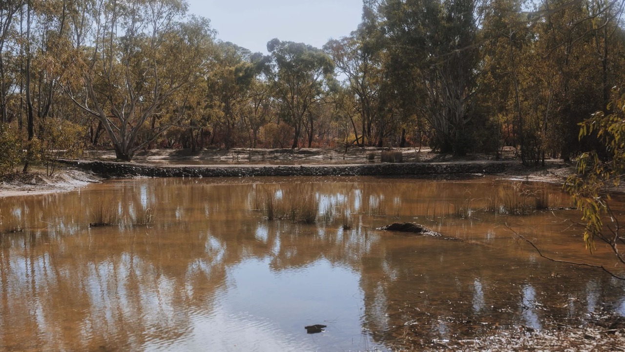 Photo of Others in Dadswells Bridge