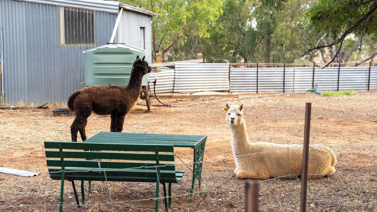 Photo of Others in Banyena