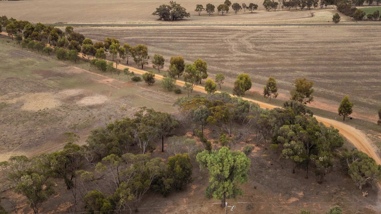Photo of Others in Banyena