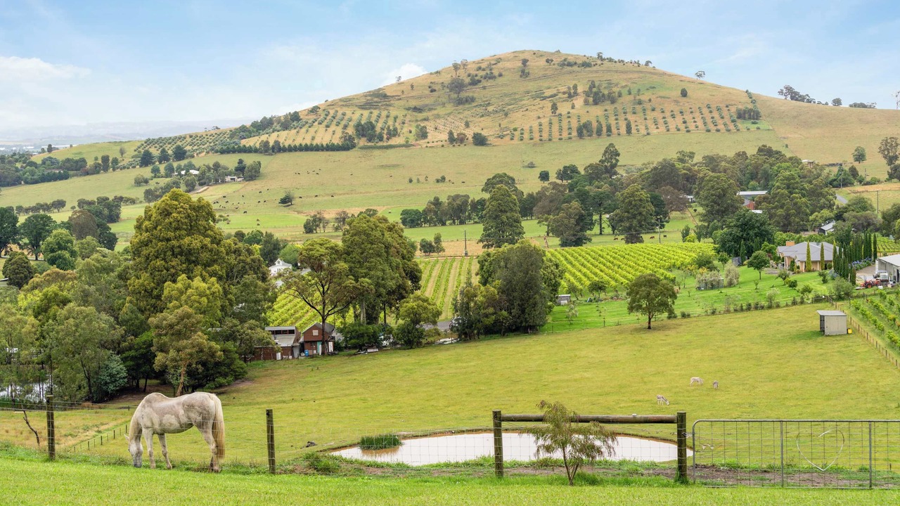 Photo of Others in Dixons Creek