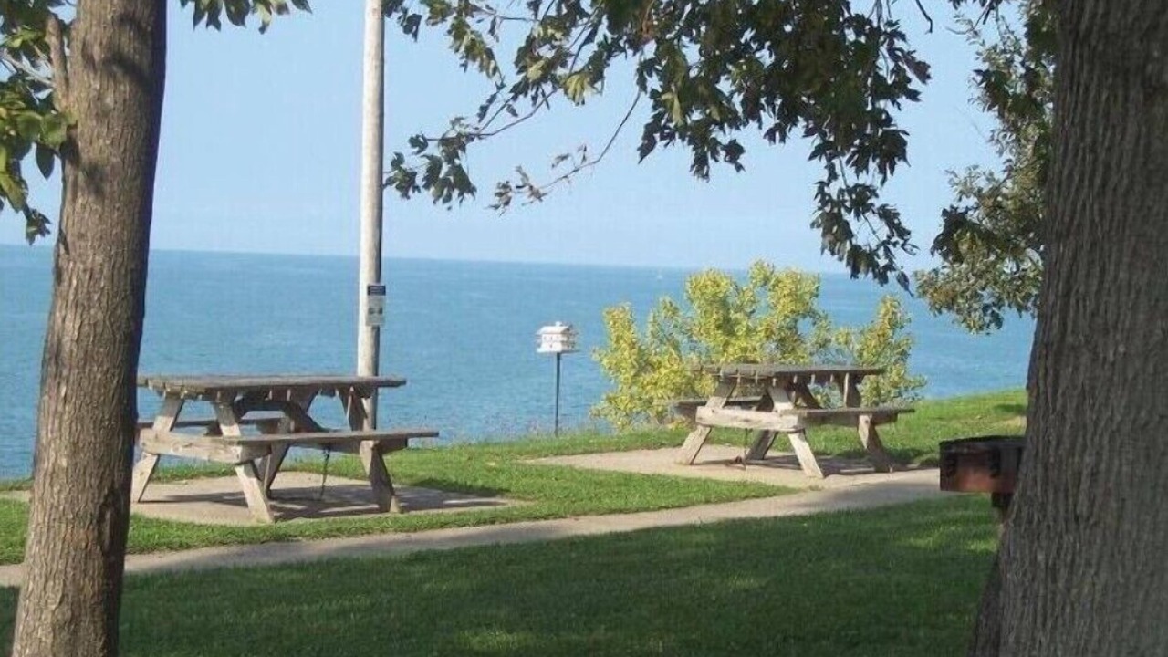 Photo of Others in Willowick