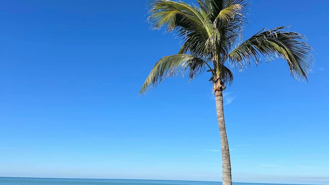 Photo of Others in Captiva