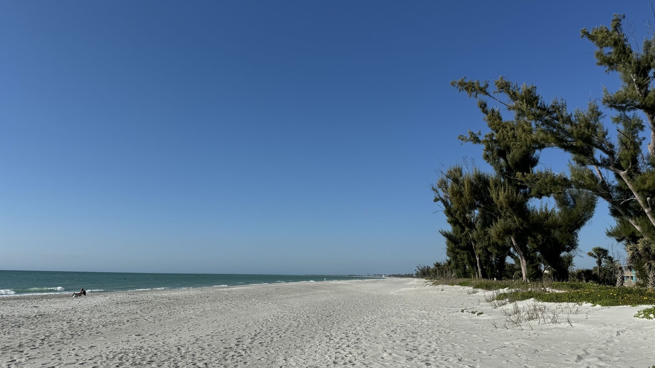 Photo of Others in Captiva
