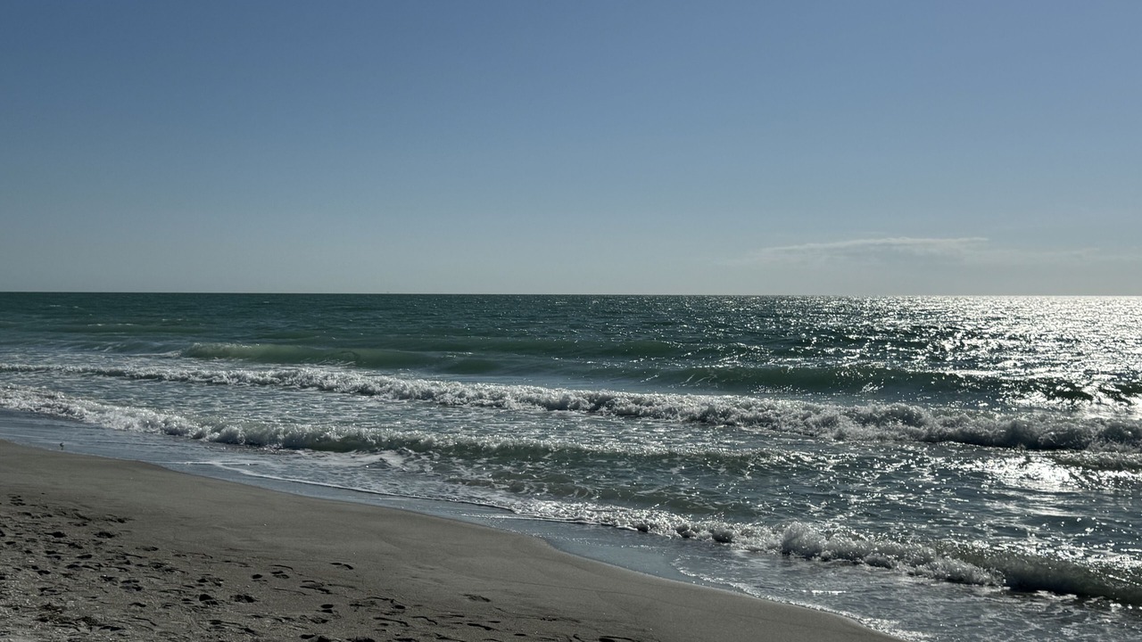Photo of Others in Captiva