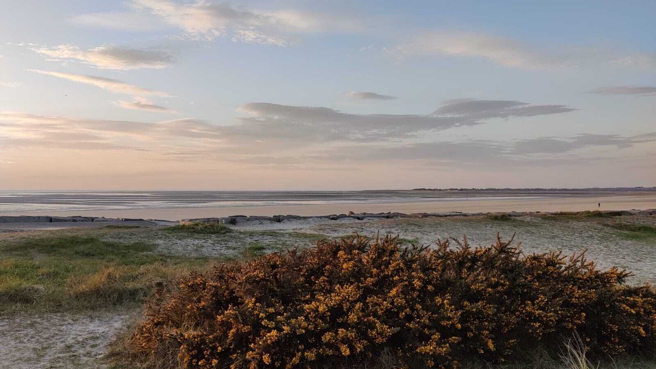 Photo of Others in Montmartin-sur-Mer