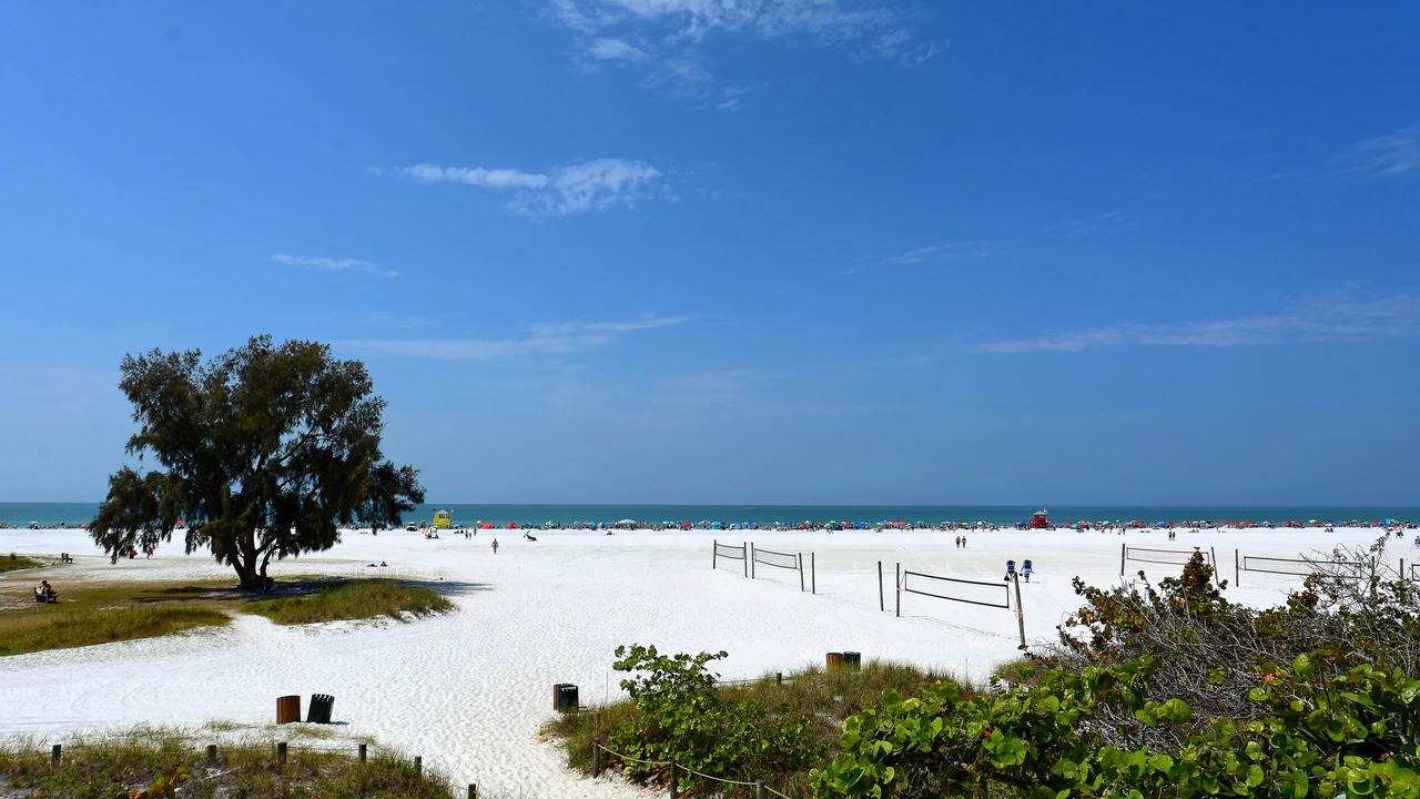 Photo of Others in Siesta Key