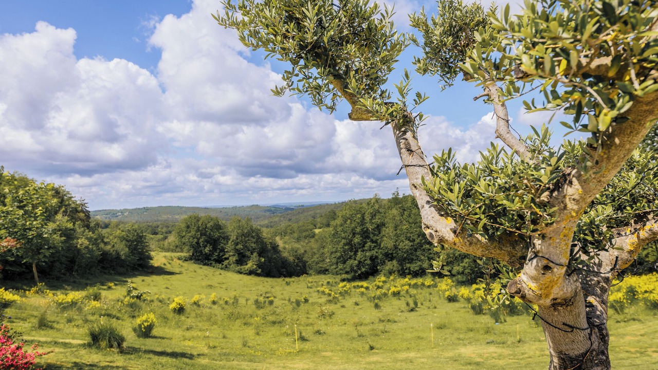 Photo of Others in Le Vigan