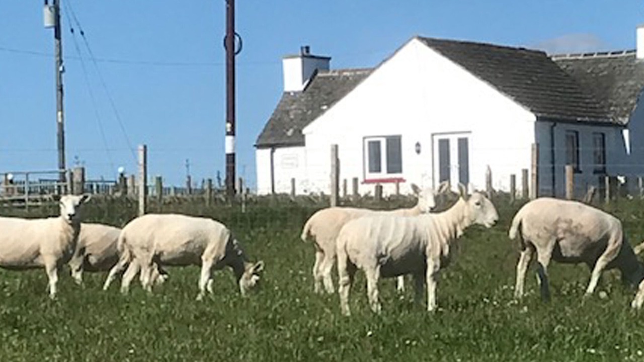 Photo of Others in Wick