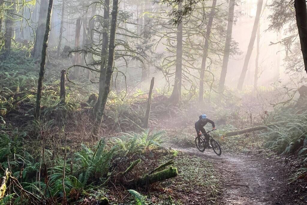 Photo of Others in Olde Town