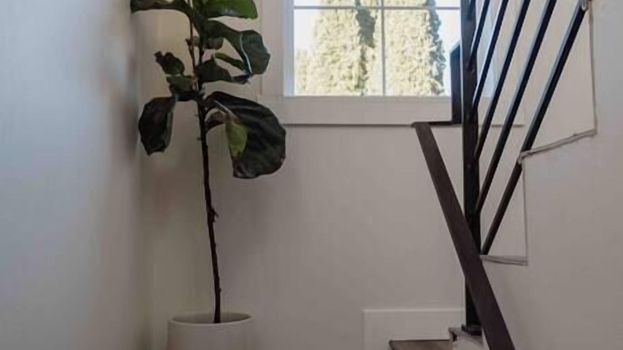 Photo of Others in Olde Town