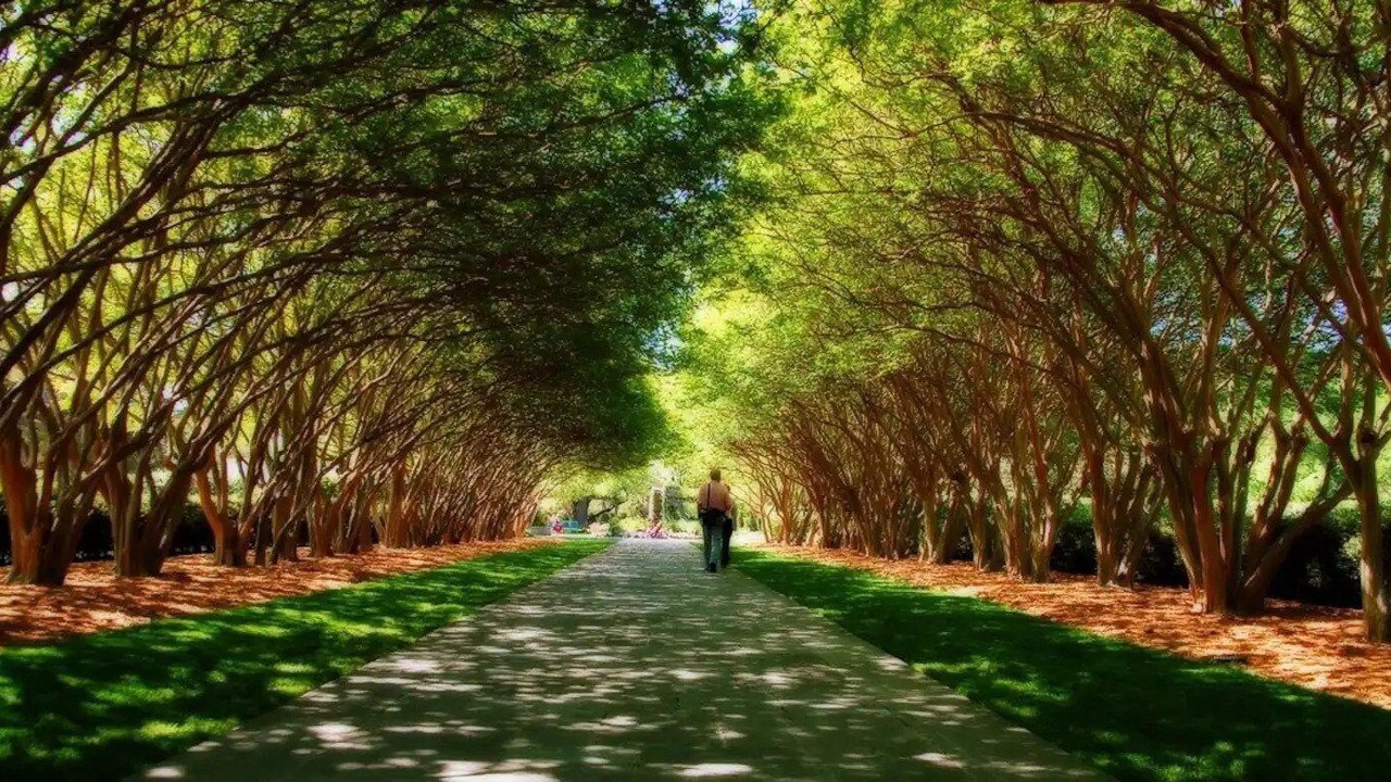 Photo of Outdoor in Plano