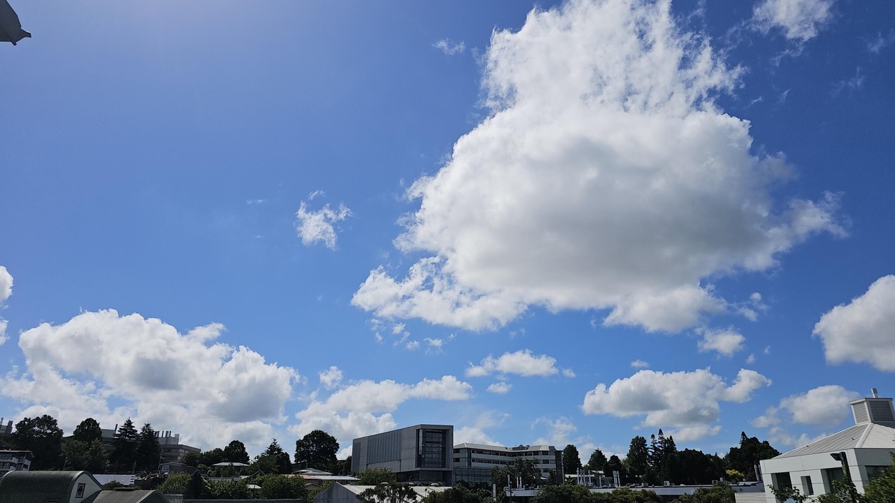 Photo of Others in Hamilton